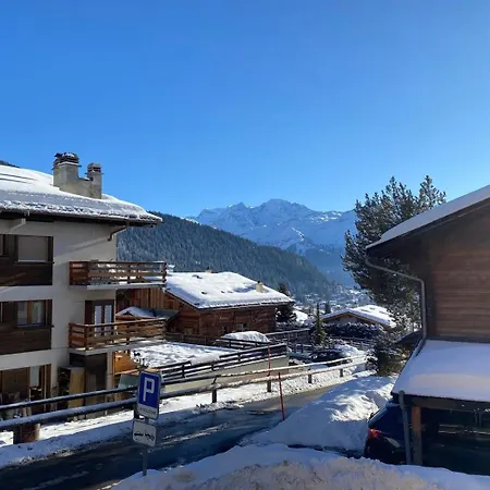 Sologne 024 * וורבייה